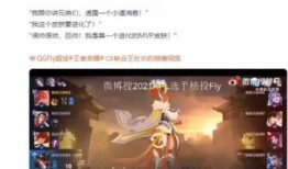 元芳爆料菜单视频,一探究竟的美食之旅